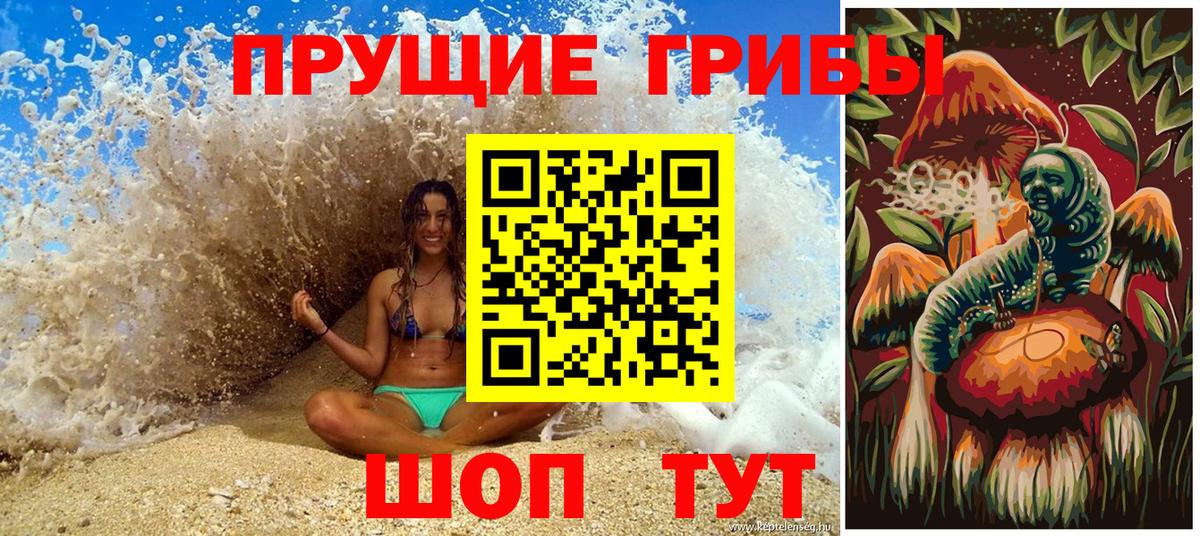 Великий Новгород  Псилоцибиновые грибы Cubensis  Галлюциногенные грибы мухоморы  Вход с VPN 